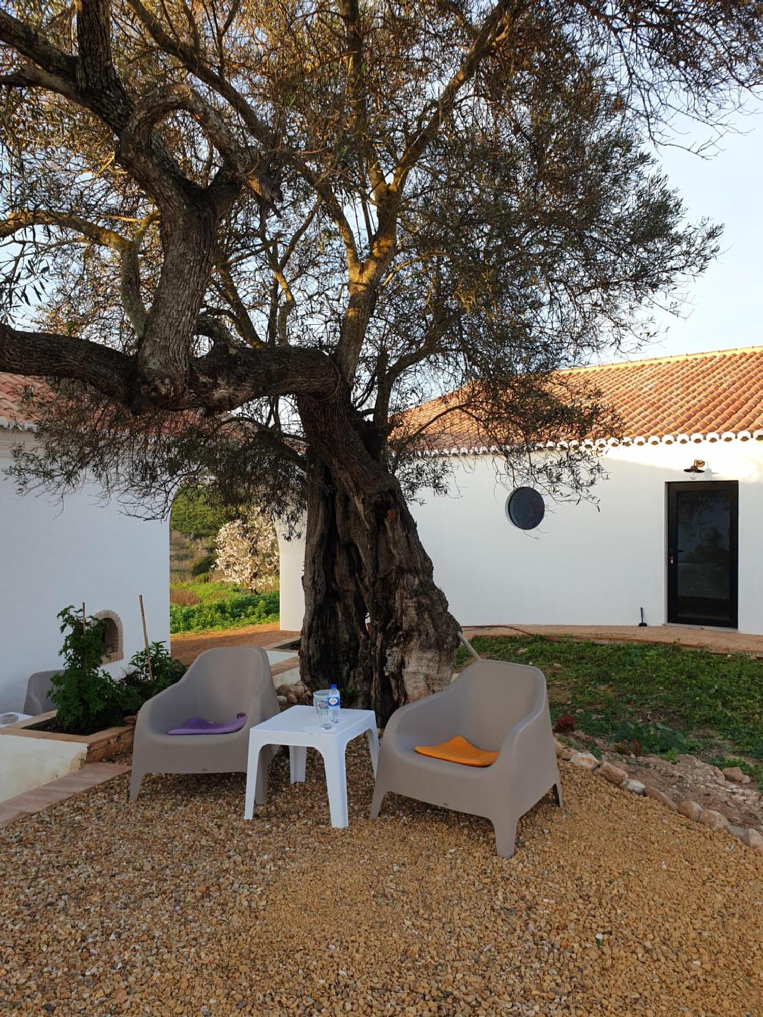 Monte Das Acoteias - Agroturismo Tavira Bagian luar foto
